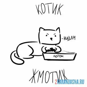 Раскраска мем котик жмотик