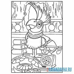 Раскраска попугай айболит