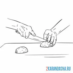 Раскраска нарезка лука