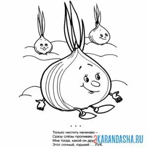 Раскраска загадка про лук