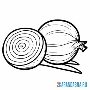 Раскраска настоящий лук в разрезе