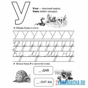 Раскраска заглавные и строчные буквы у пропись