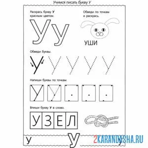 Раскраска буква у по точкам пропись