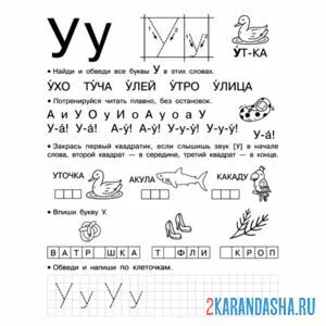 Раскраска правильное написание буква у