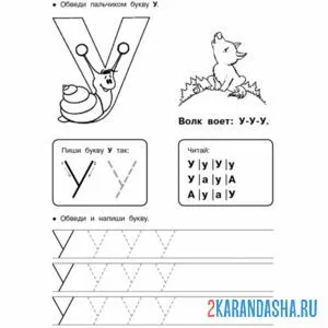 Раскраска печатная букву у пропись обведи