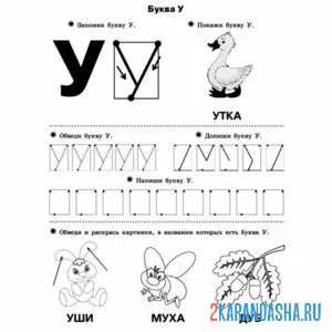 Раскраска буква у с картинками пропись