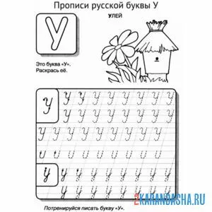 Раскраска пропись буква у с картинкой