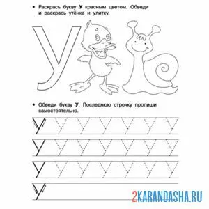 Раскраска обведи буквы у и рисунок