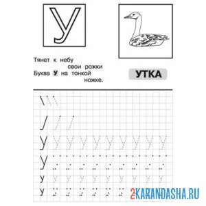 Раскраска буква у утка в прописи