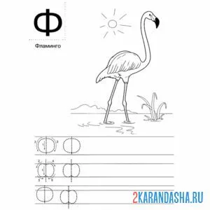Раскраска фламинго буква ф