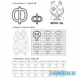Раскраска обведи по клеткам букву ф пропись