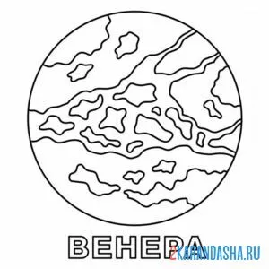 Раскраска венера