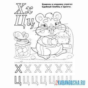 Раскраска буква х ц пропись
