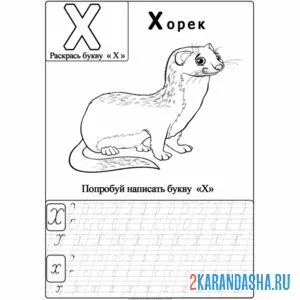 Раскраска буква х пропись с картинкой