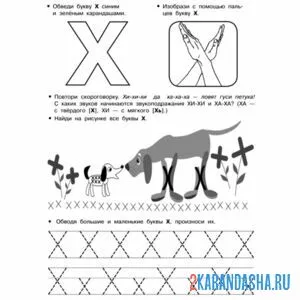 Раскраска обведи буква х и задание