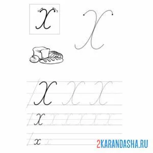 Раскраска прописная и строчная буква х пропись