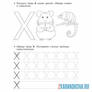 Раскраска печатная большая буква х пропись