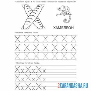 Раскраска печатные заглавные и строчные буква х