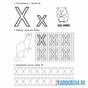 Раскраска бува х по клеточкам