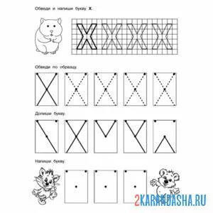 Раскраска буква х пропись дошкольник