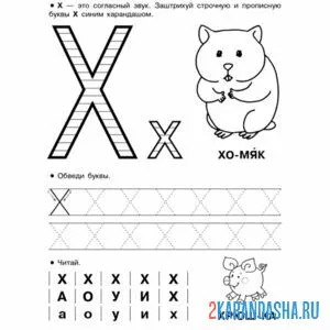 Раскраска буква х пропись с картинками