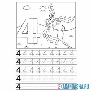 Раскраска цифра 4 обведи и напиши