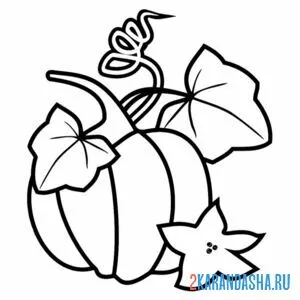 Раскраска тыква с листьями
