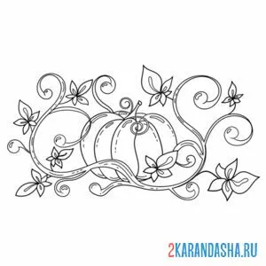 тыква вензеля