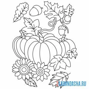 Раскраска осенняя тыква и листья
