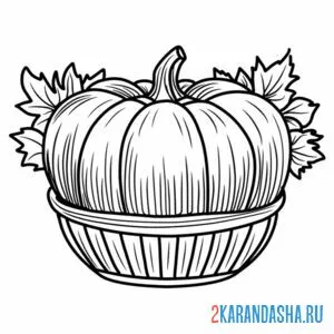 Раскраска тыква в тарелке