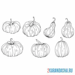 Раскраска разные тыквы