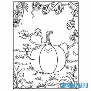 Раскраска тыква в лесу
