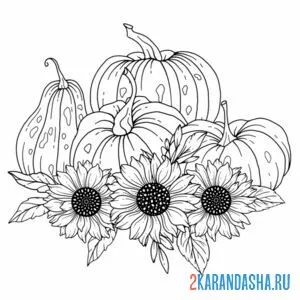 тыква в цветах