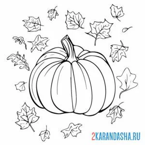Раскраска тыква и осень