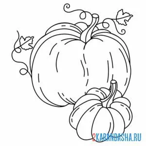 Раскраска две тыкыы