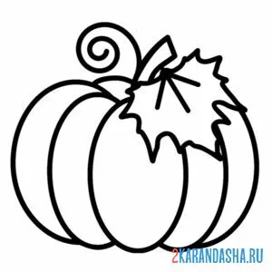 настоящая тыква