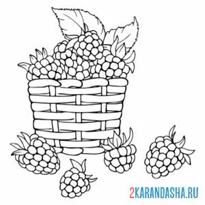 Раскраска малина в лукошке