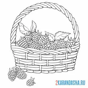 Раскраска малина в корзинке