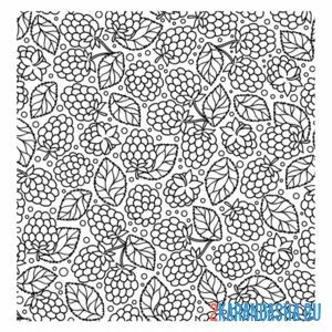 Раскраска малины задний фон