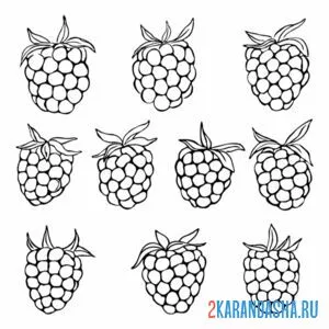 Раскраска ягодки малины