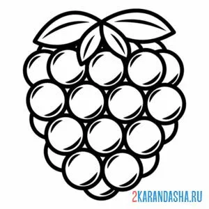 Раскраска большая малина