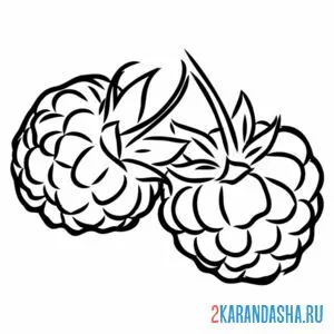 Раскраска две малинки