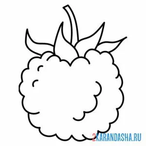 Раскраска малина контур