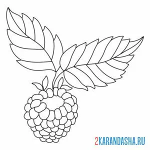 Раскраска малинка на веточке