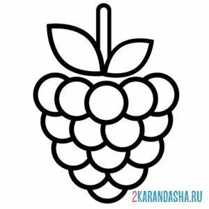 Раскраска малина для малышей