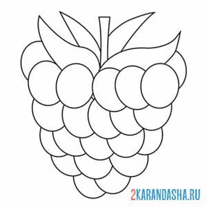 Раскраска малина простой рисунок