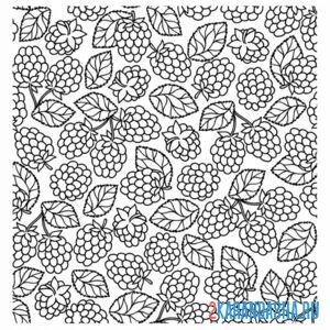 Раскраска малина обои