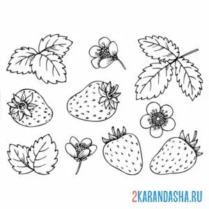 Раскраска клубничные части