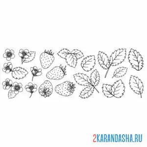 Раскраска клубника разбор