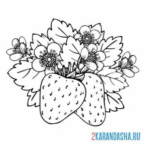 Раскраска клубника в листьях